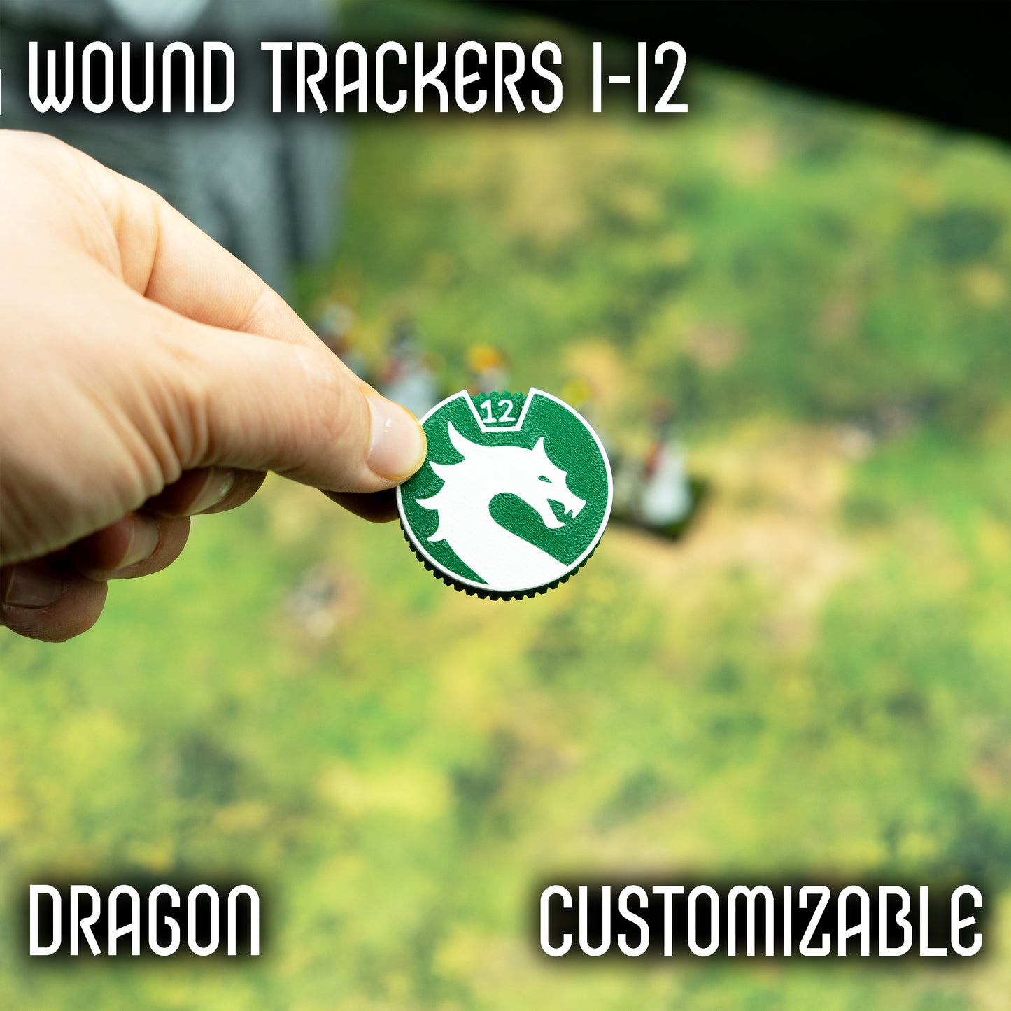 1-12 Wounds Trackers - Dragon Style