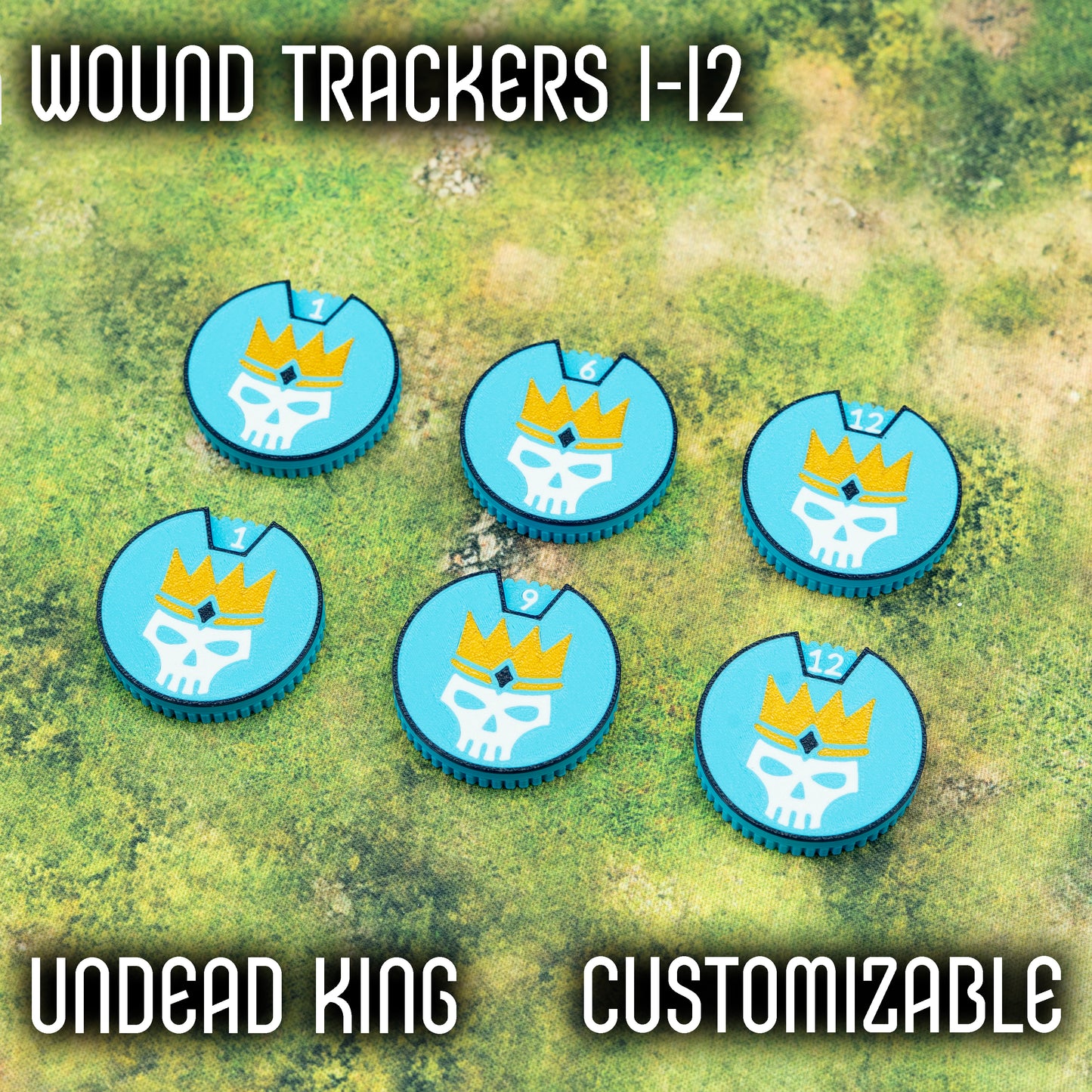 1-12 Wound Trackers - Undead King Style
